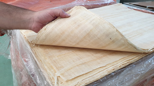 original imported papyrus for facsimile edition